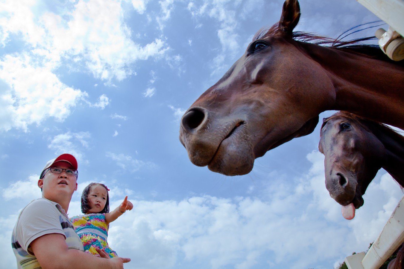 Bronze prize - Choi Euijoon – A Kid and a Pony